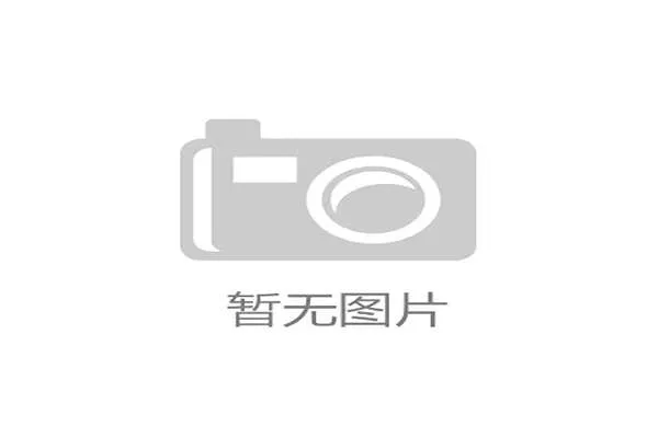地方政府主导的转化平台带有明显的地方保护主义色彩，有意回避了构建全国统一大市场的必然趋势