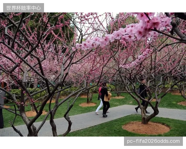 上海静安体育中心示范项目，验证城市绿地对公众心理干预的价值